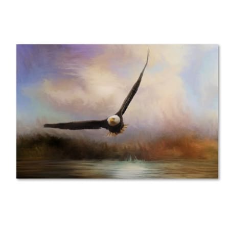 Jai Johnson 'Eagle In The Marsh' Canvas Art,16x24